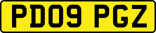 PD09PGZ