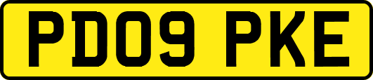 PD09PKE