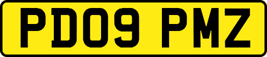 PD09PMZ