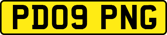 PD09PNG