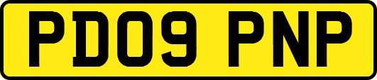 PD09PNP