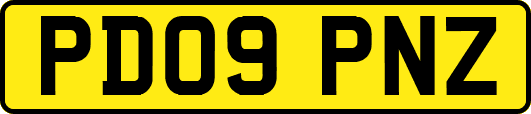 PD09PNZ