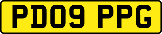 PD09PPG