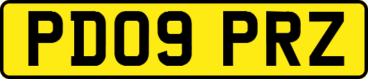 PD09PRZ
