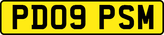 PD09PSM