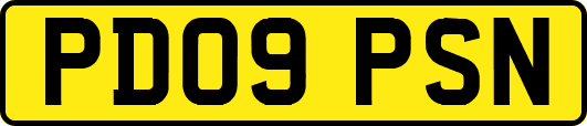 PD09PSN