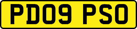 PD09PSO
