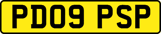PD09PSP