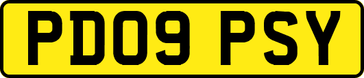 PD09PSY