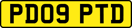 PD09PTD