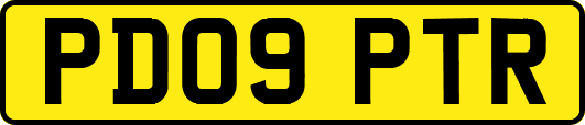 PD09PTR