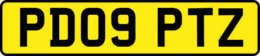 PD09PTZ