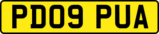 PD09PUA