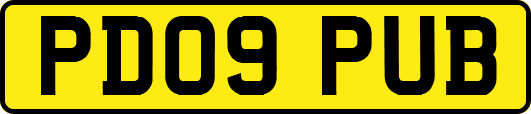 PD09PUB