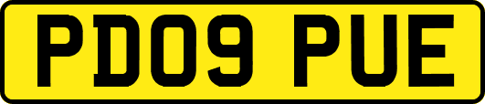 PD09PUE