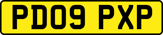 PD09PXP