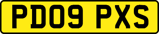 PD09PXS