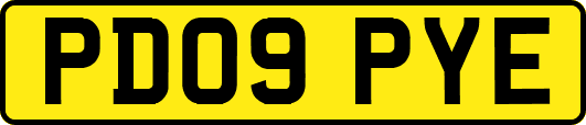 PD09PYE