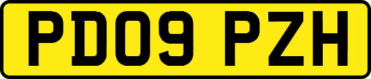 PD09PZH
