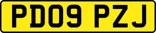 PD09PZJ
