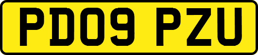 PD09PZU