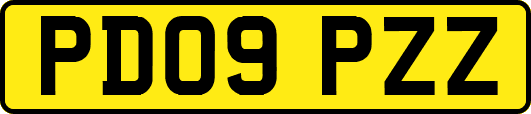 PD09PZZ