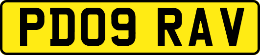 PD09RAV