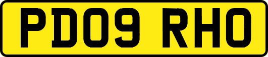 PD09RHO