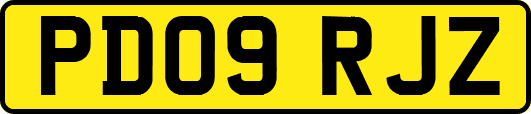 PD09RJZ