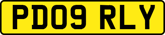 PD09RLY
