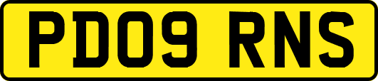 PD09RNS