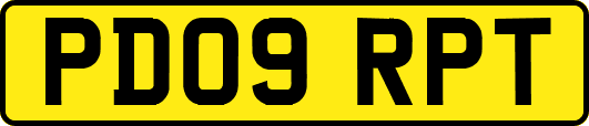 PD09RPT