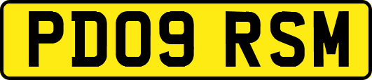 PD09RSM