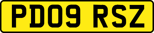 PD09RSZ