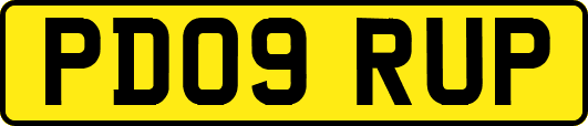 PD09RUP