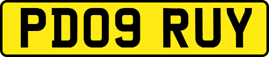 PD09RUY