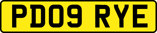 PD09RYE