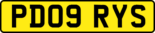 PD09RYS