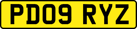 PD09RYZ