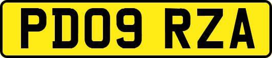 PD09RZA