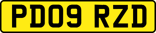 PD09RZD