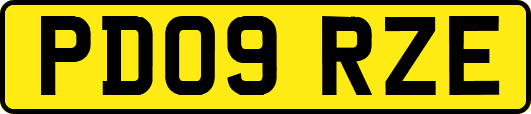 PD09RZE