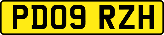PD09RZH