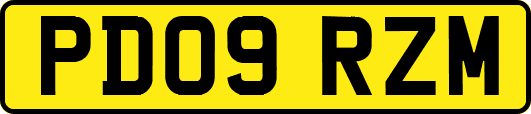 PD09RZM