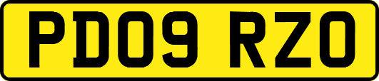 PD09RZO