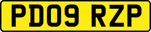 PD09RZP