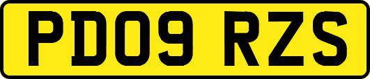 PD09RZS