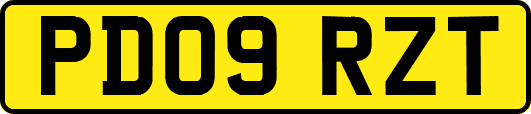 PD09RZT