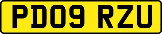 PD09RZU