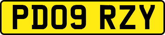 PD09RZY